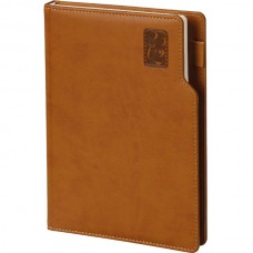 Başakşehir-TB Günlük Ajanda