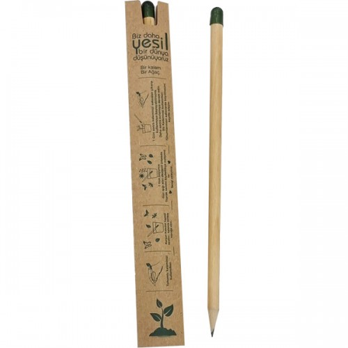 0522-95 Tohumlu Kalem